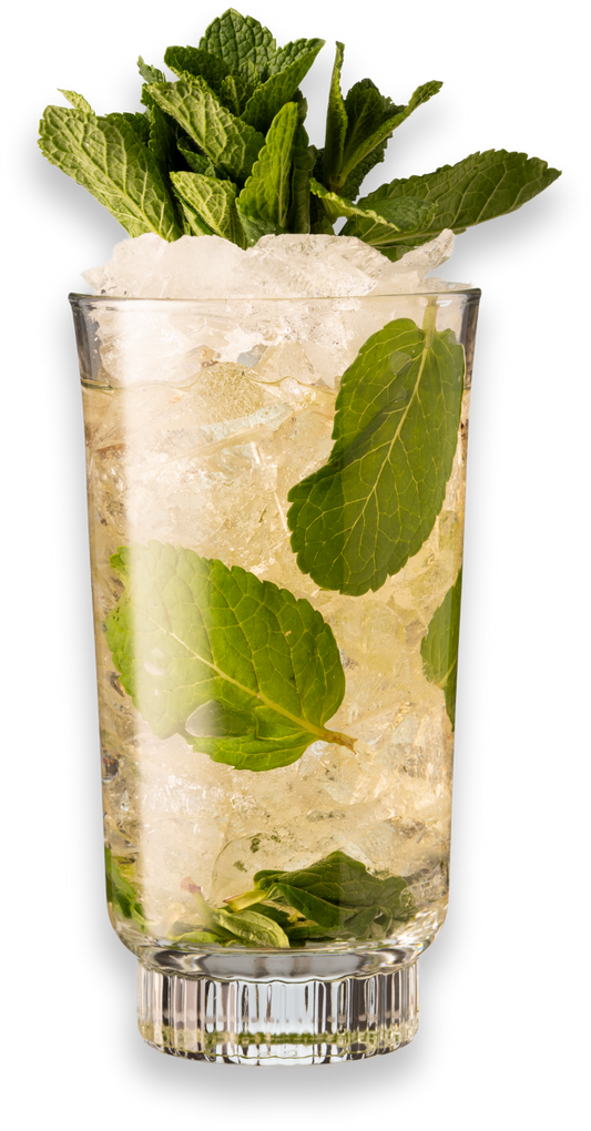 Diablo Spiced Rum Mojito